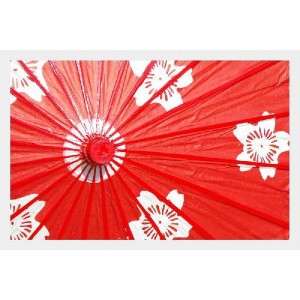 Japanese Antique Umbrella Red KASA SAKURA For Children  