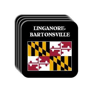  US State Flag   LINGANORE BARTONSVILLE, Maryland (MD) Set 
