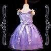Flower Girl Princess Wedding Pageant Costumes Dance Dresses NEW Purple 