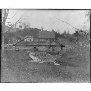  Bridge,house,Lexington,Rockbridge Co.,Virginia,VA,animal 