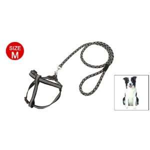   Dog Grey Nylon Pulling Harness Doggie Solid Leash Rope