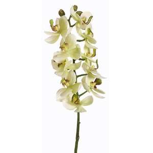  18.5 Small Phalaenopsis Orchid Spray Green Violet (Pack of 