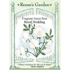  Sweet Peas   Royal Wedding Seeds Patio, Lawn & Garden