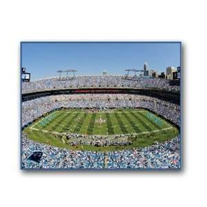 NFL Carolina Panthers Stadium Canvas Art 