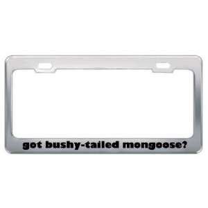 Got Bushy Tailed Mongoose? Animals Pets Metal License Plate Frame 
