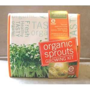 Seracon Crunchy Bean Mix Organic Sprouts Growing Kit 