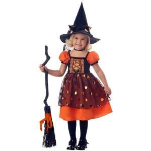 Lets Party By California Costumes Pretty Pumpkin Witch Toddler Costume 