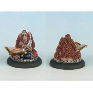  28mm Discworld Miniatures The Librarian Toys & Games