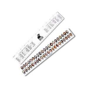  Presidential Ruler   250 with your logo