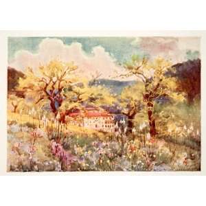 1905 Color Print Convent Hotel Camadoli Landscape Poppi Tuscany Italy 