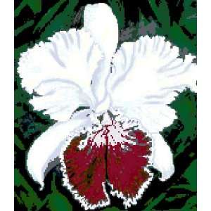  White Cattleya Orchid Flower Custom Designed Counted Cross 