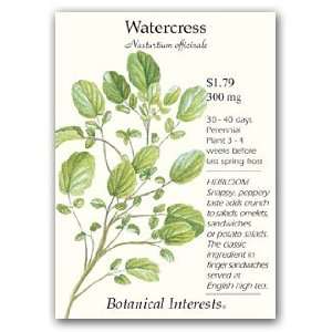  Watercress Seeds   250 mg   Perennial Herb Patio, Lawn 