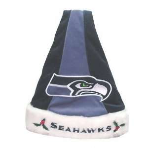 Seattle Seahawks Colorblock Santa Hat