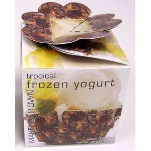  Make Your Own Frozen Yogurt Tropical Mix