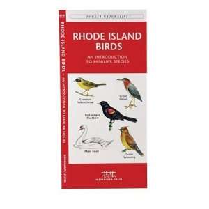  Rhode Island Birds An Introduction to Familiar Species (State 