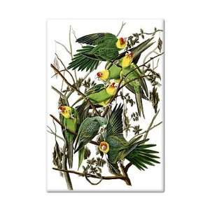 Carolina Parakeet John James Audubon Fridge Magnet