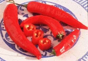 Guajillo Chili Pepper Jumbo Pack 60 Seeds No Added S&H  
