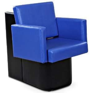  Masina Blue Dryer Chair Beauty