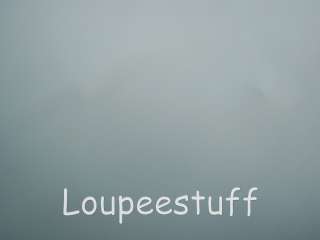 Loupeestuff   FUN Stuff, COOL Parts and Great Service since 