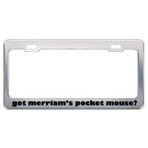 Got MerriamS Pocket Mouse? Animals Pets Metal License Plate Frame 