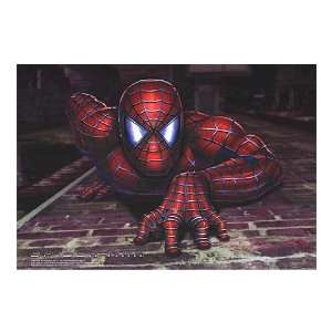 Spider man Movie Poster, 39 x 27 (2002) 