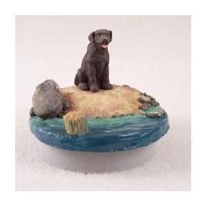 Chocolate Labrador Retriever Candle Topper Tiny One A Day on the 