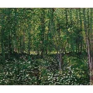 Trees And Undergrowth Paris Summer Poster Print 