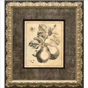 Phoenix Galleries OWP3257 Crackled Pear Framed Print 