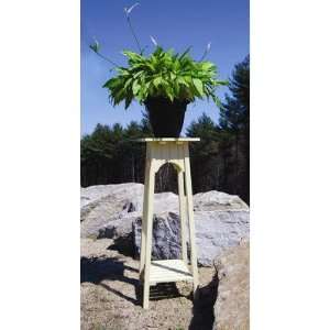    Achla Designs OFP 01 English Plant Stand Patio, Lawn & Garden
