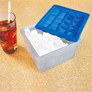  120 Ice Cube Container