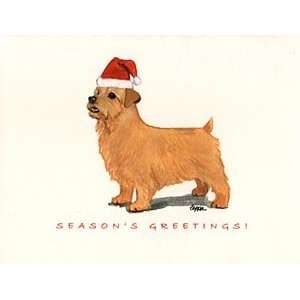 Norfolk Terrier in Santa Hat Boxed Christmas Notecards