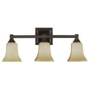  Collec3 Light Vanity, Oil Rubbed Bronze Finish with Excavation Glass