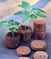 24 Netted Round Burpee Peat Pellets   Plant Pot & All  