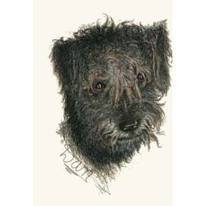 Wolfhounds Head Etching Harber, , Animals, Dogs Birds Engraving 