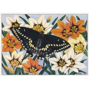  Black Swallowtail, Butterflies & Moths Note Card by Martha 