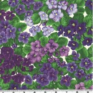  45 Wide Flower of the Month February 07 Stripe Violet 