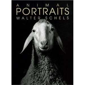  Animal Portraits (9782862343303) Walte Schels Books