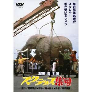 Japanese Movie   Scrap Syuudan [Japan DVD] DC 5016 Movies 