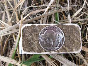 Buffalo Nickel with Antler Shed   Money Clip  