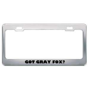 Got Gray Fox? Animals Pets Metal License Plate Frame Holder Border Tag
