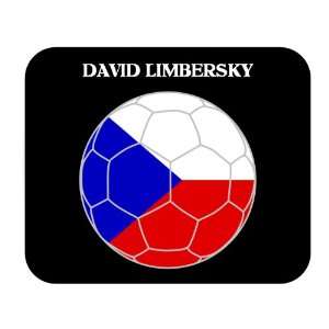  David Limbersky (Czech Republic) Soccer Mousepad 
