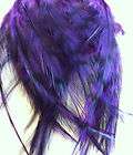 GRIZZLY ROOSTER FEATHERS HAIR EXTENTIONS BRIGHT PURPLE