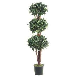  Pack of 2 Decorative Ficus Topiaries with Round Pots 5 