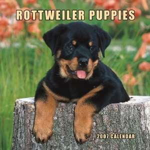  Rottweiler Puppies 2007 Mini Calendar (9781421608099 