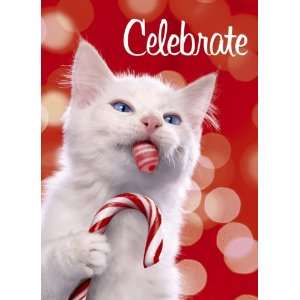 Avanti Plus Christmas Cards, Candy Cane Kitty, 10 Count 