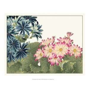 Japanese Flower Garden IV   Poster by Konan Tanigami (20x16)  