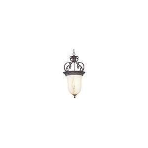  Apollo Entry Foyer Pendant 2224WHGB