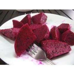 fruit is grown in tropical regions of the world the plant dragon fruit 