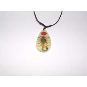   Real Insect Necklace   Golden Scorpion with Lucky Red Seed (Yd0792