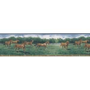 Brewster 203B25575 Borders and More Horse Gallop Wall Border, 6.875 